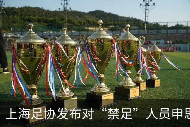 上海足协发布对“禁足”人员申思的调查通报