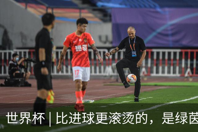 世界杯 | 比进球更滚烫的，是绿茵场上的爱