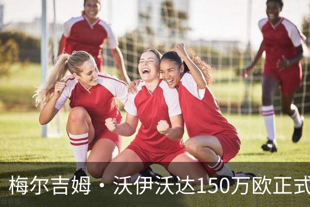 梅尔吉姆·沃伊沃达150万欧正式加盟乌迪内斯
