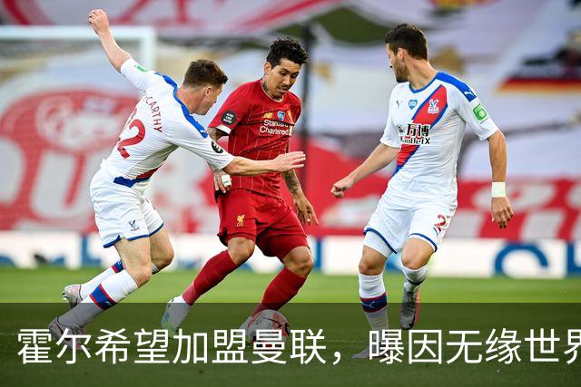 霍尔希望加盟曼联，曝因无缘世界杯与纽卡闹翻！转会费至少5000万
